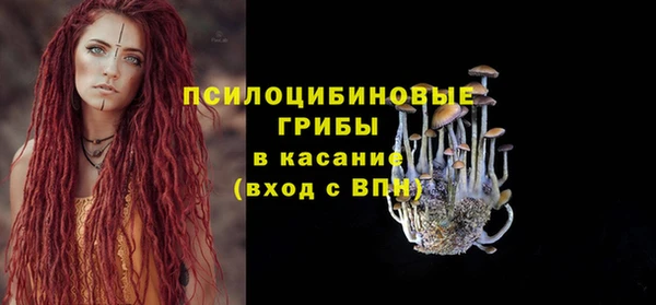 ешки Богородицк