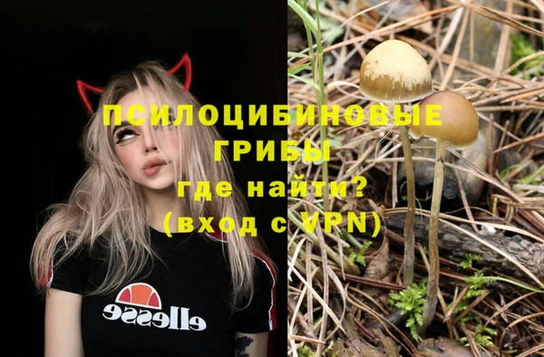 MDMA Богородск