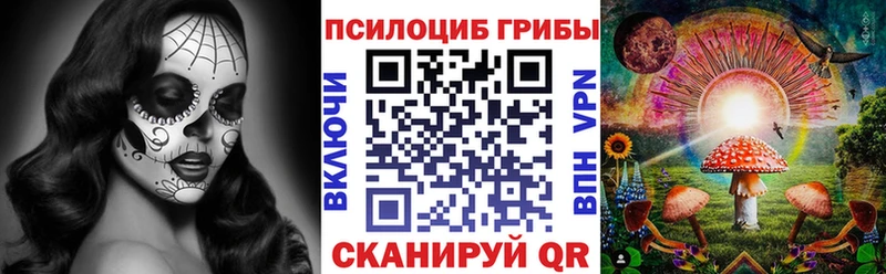 Галлюциногенные грибы Psilocybe  kraken сайт  Ильский  продажа наркотиков 