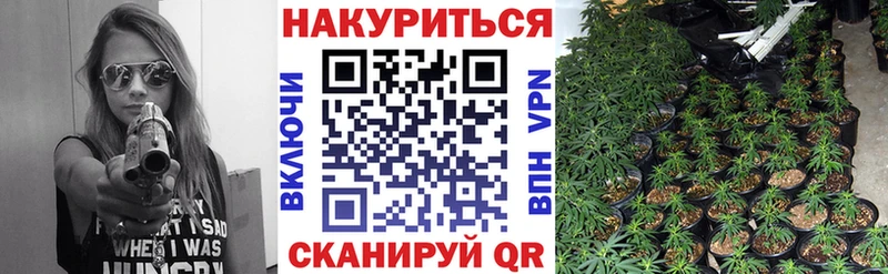 Каннабис Bruce Banner Ильский